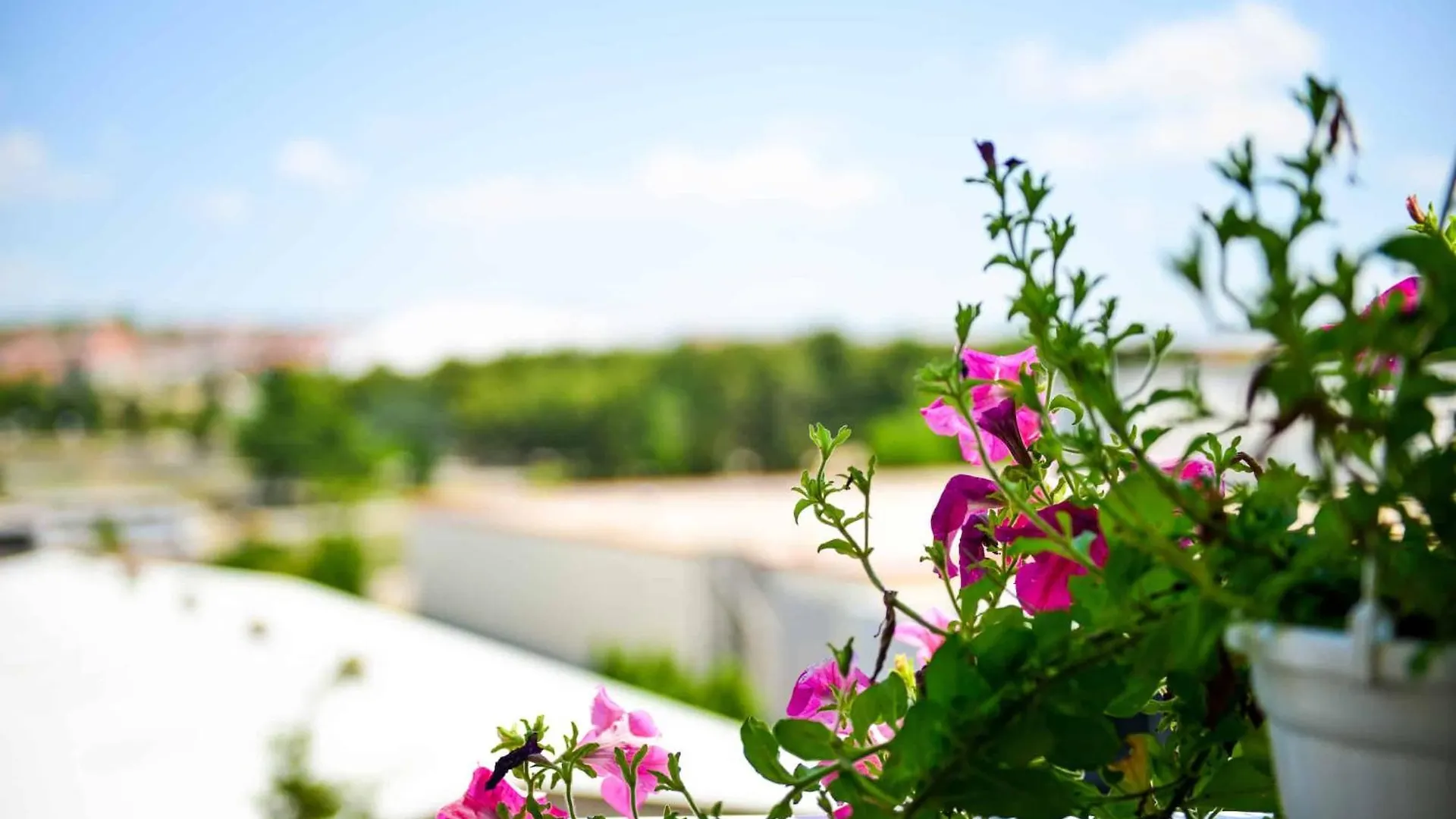 Apartment Zararia كرواتيا